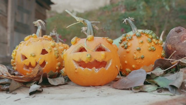 Real Pumpkins with faces slide shot in a halloween decoration scene 