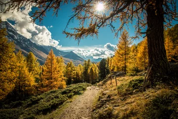 Bergweg im Herbst © Franco Bissoni