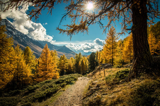 sentiero di montagna in autunno