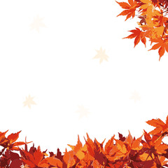 秋　紅葉　イラスト　白バック