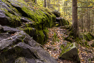 Beautiful Landscape with algae on rocks during autumn season