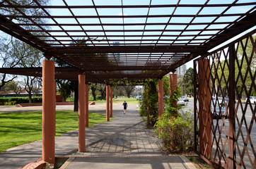 Pergola