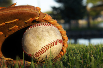 Baseball Glove Laying In Grass