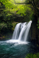  日本の滝　河津七滝　初景滝