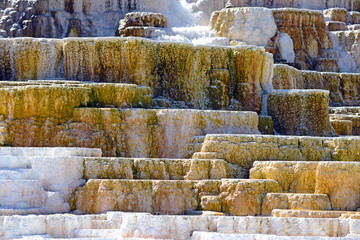 Travertine terraces at Mammoth Hot Springs, Yellowstone National Park
