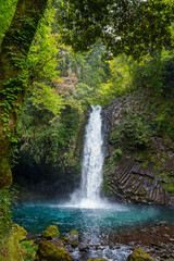 Fototapeta na wymiar 日本の滝　浄蓮の滝