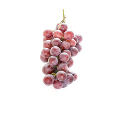 red grape isolated on white