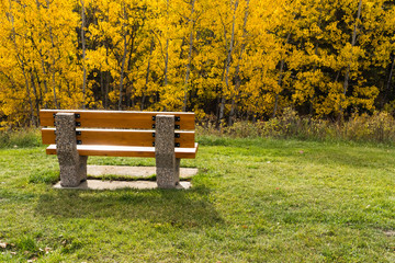 Fototapeta premium Wooden bench on concrete base in sunlight