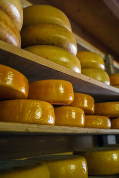 Rounds of Handmade Holland Cheese
