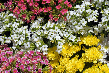 Floral arrangement for decorating