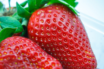 Strawberries in plastic box