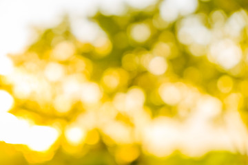 Gold ray bokeh glitter