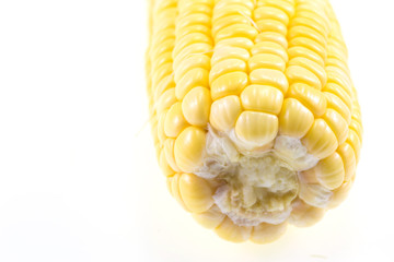 Yellow sweet corn on white background