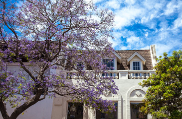 U.S.A., California, Santa Barbara, foreshortening of the country center