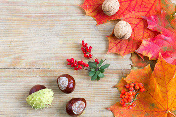 Autumn background with red leaves and harvests.