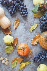 Autumnal fruits. Autumn still life with various autumn fruits 