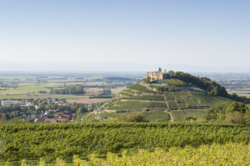 Deutschland, Baden-Württemberg, Breisgau-Hochschwarzwald, Blick über die Weinberge zur Burgruine Staufen, links die Stadt Staufen