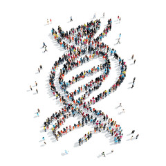 people shape  DNA cartoon
