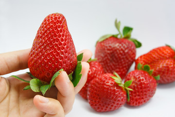 Obraz premium hand holding fresh strawberries