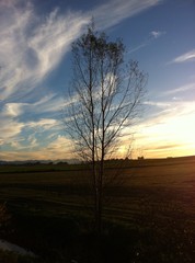 Abendstimmung auf dem Land