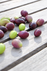 Olives de Provence