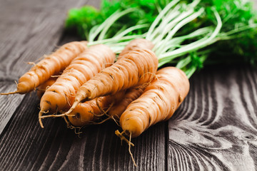 Ripe fresh carrots on a wooden table in black.