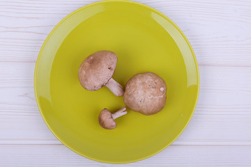 edible mushrooms on a plate and a bright white wooden background. science of mycology