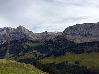 Obraz premium Góry w Adelboden