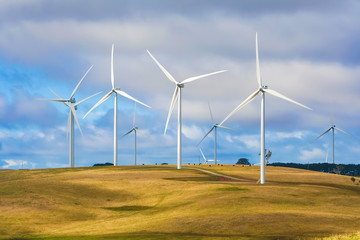 Wind turbine farm of windmills creating renewable energy on top of hill with cattle farm beneath. Taralga, New South Wales Australia.