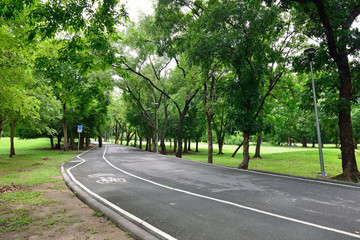 Fototapeta na wymiar City park at Vachirabenjatas Park (Rot Fai Park) Bangkok, Thailand