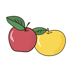Apple fruit