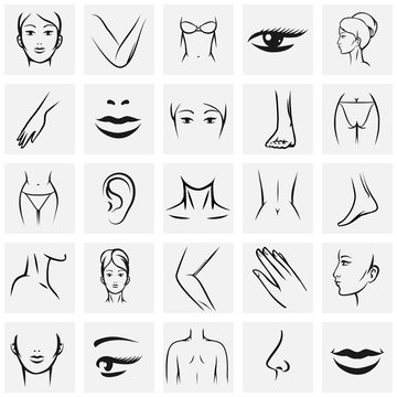 Female body parts icons