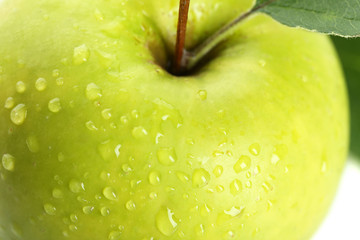 Ripe green apple close up