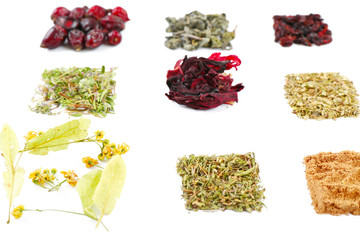 Various kinds of herbal tea and herbs isolated on white