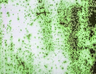 Hi res grunge textures and backgrounds