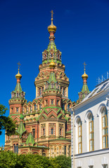 Fototapeta na wymiar St. Peter and Paul Cathedral in Peterhof - Russia
