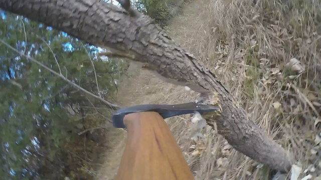Felling a tree with an axe. Slow motion. 