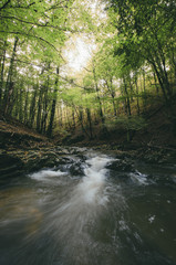 Obraz premium forest river autumn landscape