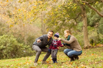 Young couple pointing something to their little boy