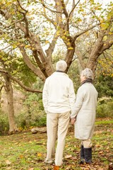 Senior couple in the park 