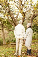 Obraz premium Senior couple in the park 