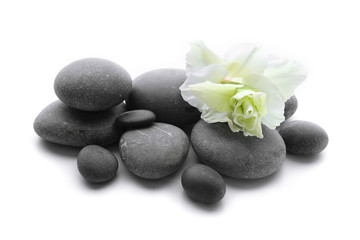 Spa stones with flower isolated on white