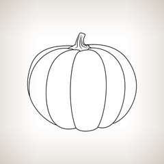 Pumpkin in the Contours on a Light Background