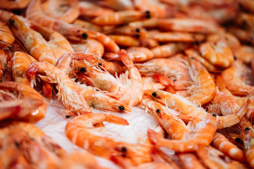 Fresh raw shrimps on display on ice on fishermen market store. 