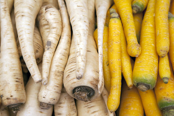 White and Yellow Parsnip Background