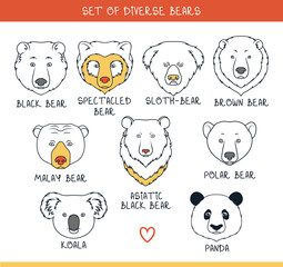 Set 9 muzzles bears handmade in linear style. Bear faces