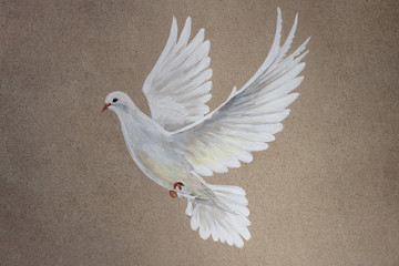 A free flying white dove