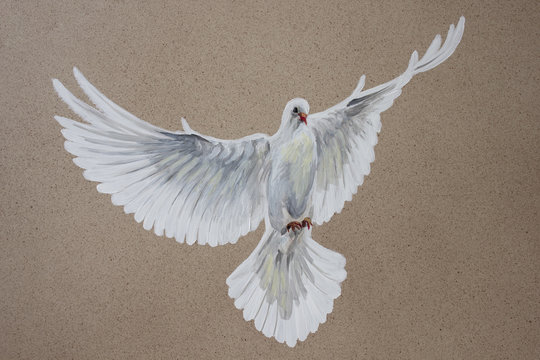 A free flying white dove