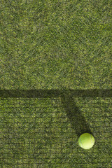 One tennis ball is on the green grass near the net