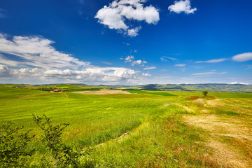 Obraz premium Landscape of Val d'Orcia province. Tuscany, Italy.